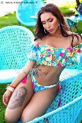 Foto Annunci Incontri Transescort Brescia Mariana Ferraz 3461274809 - 99