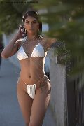Foto Annunci Incontri Transescort Brescia Paula Bituschini 3898857998 - 118