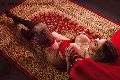 Foto Annunci Incontri Transescort Catania Isabella Santos 3381521054 - 18
