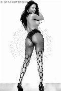 Foto Annunci Incontri Transescort Colonnella Graicy Ohara Pornostar 3897696422 - 6