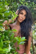 Foto Annunci Incontri Transescort Firenze Mandy Asiatica 3270531479 - 2