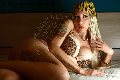 Foto Annunci Incontri Transescort Grosseto Barbie Argentina 3885689591 - 12