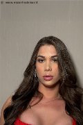 Foto Annunci Incontri Transescort Lecco Ts Sophia 3391841425 - 7