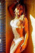 Foto Annunci Incontri Transescort Milano Eva B  3200397565 - 216