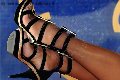 Foto Annunci Incontri Transescort Milano Eva B  3200397565 - 220