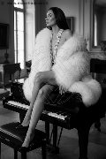 Foto Annunci Incontri Transescort Milano Gabriella Rodriguez 3806395947 - 7