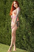 Foto Annunci Incontri Transescort Milano Gaby Manzini 3931497296 - 280