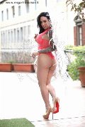 Foto Annunci Incontri Transescort Milano Gaby Manzini 3931497296 - 327