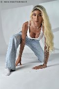 Foto Annunci Incontri Transescort Milano Karollayne Arruda 3277205075 - 46