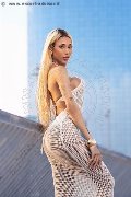 Foto Annunci Incontri Transescort Milano Karollayne Arruda 3277205075 - 28