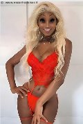 Foto Annunci Incontri Transescort Milano Virna La Super Dotata 3494393969 - 2