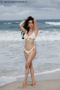 Foto Annunci Incontri Transescort Modena Vanessa Hilton 3245846577 - 108