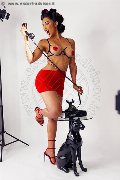 Foto Annunci Incontri Transescort Ospitaletto Graziella Farias 3515874125 - 46