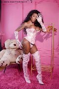 Foto Annunci Incontri Transescort Padova Campbell 3933357541 - 18