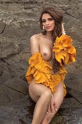 Foto Annunci Incontri Transescort Parigi Ariel 0033605771121 - 30