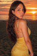 Foto Annunci Incontri Transescort Ponte Chiasso Nayara 3338231420 - 4