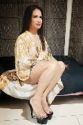 Foto Annunci Incontri Transescort Pordenone Biancaladyboy 3932233064 - 38