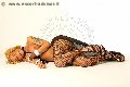 Foto Annunci Incontri Transescort Roma Robby 3336677555 - 4