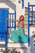 Foto Annunci Incontri Transescort San Gallo Rayca 3485638746 - 168