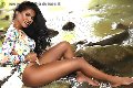 Foto Annunci Incontri Transescort Soletta Bruna Deep Swallow 0041762351098 - 223