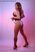 Foto Annunci Incontri Trav Torino Niccole 3271328599 - 39