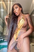 Foto Hot Annunci Incontri Trans Padova Campbell 3933357541 - 26