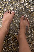 Altopascio Trans Diana Ferraz 327 12 87 566 foto selfie 18