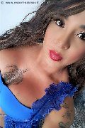 Avellino Trans Trecy 350 98 22 464 foto selfie 1