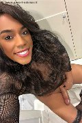Lodi Trans Dryka 371 19 43 155 foto selfie 12