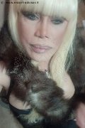 Milano Trans Nicole Vip Venturiny 353 35 38 868 foto selfie 410