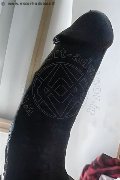 Milano Trans Virna La Super Dotata 349 43 93 969 foto selfie 4