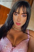 Reggio Emilia Trans Andressa Angelis 338 19 18 175 foto selfie 5