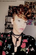 Treviso Trans Valeria 338 87 18 849 foto selfie 593