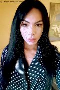 Bari Trans Escort Kelly Melo Pornostar 350 80 96 697 foto selfie 16