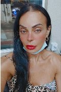 Bergamo Trans Escort Kartika 349 22 31 753 foto selfie 247