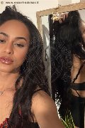 Bologna Trans Escort Victoria New 339 43 37 857 foto selfie 14