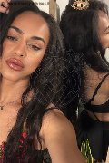 Bologna Trans Escort Victoria New 339 43 37 857 foto selfie 13