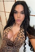 Conegliano Trans Escort Abbey 320 31 62 142 foto selfie 3