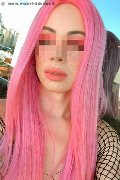 Milano Trans Escort Giselly Angel 320 45 50 007 foto selfie 13