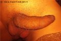 Porto Sant'elpidio Trans Escort Vittoria Mazza 334 77 63 969 foto selfie 18
