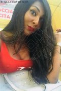 Torino Trans Escort Thalita Top Xxxl 388 48 85 062 foto selfie 5