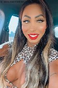 Verona Trans Escort Thayys Castro 329 72 89 046 foto selfie 77