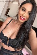 Verona Trans Escort Thayys Castro 329 72 89 046 foto selfie 31