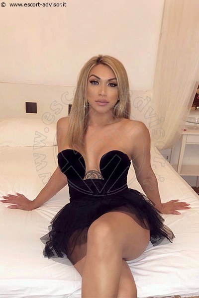 Angel Bunny  ROMA 3474642611