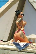 Foto Annunci Incontri Escort Verbania Ilenia 3209767007 - 2