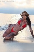 Foto Annunci Incontri Trans Avellino Bruninha 3508578851 - 31