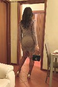 Foto Annunci Incontri Trans Dalmine Luisa 3343213842 - 13