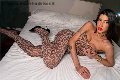 Foto Annunci Incontri Trans Milano Nicole Andrade 3298948041 - 24