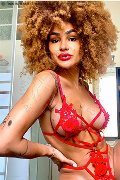 Foto Annunci Incontri Trans Milano Stella 3295563971 - 25
