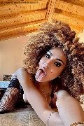 Foto Annunci Incontri Trans Milano Stella 3295563971 - 3